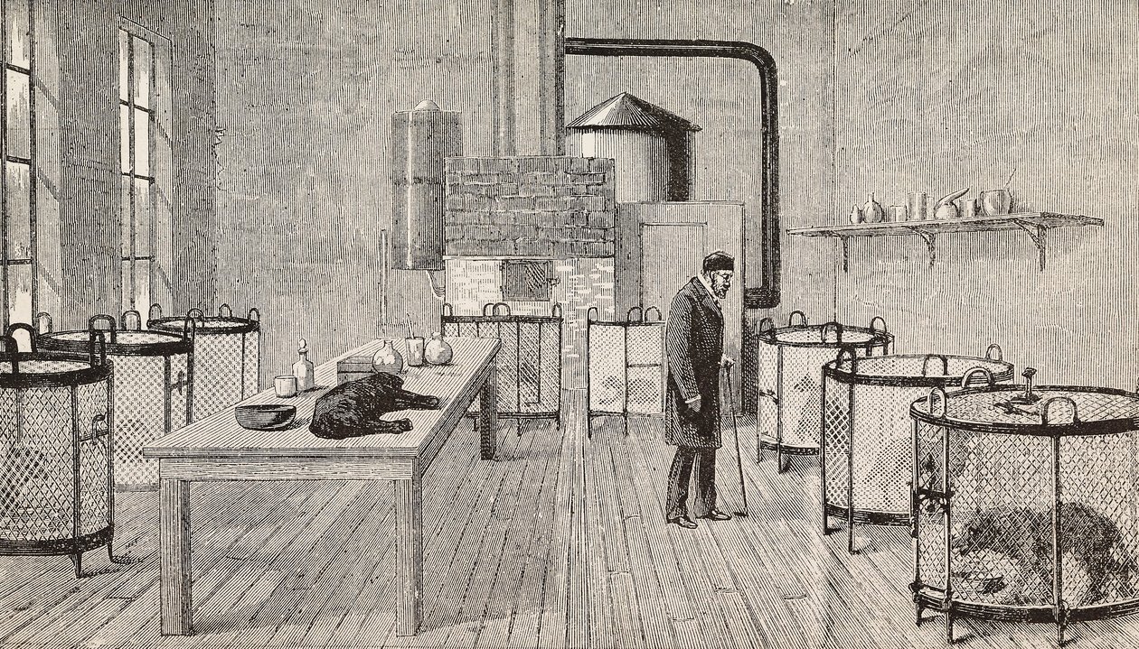 Hundar i burar i Louis Pasteurs (1822-1895), fransk kemist och biolog, laboratorium, Paris, Frankrike, gravyr från L