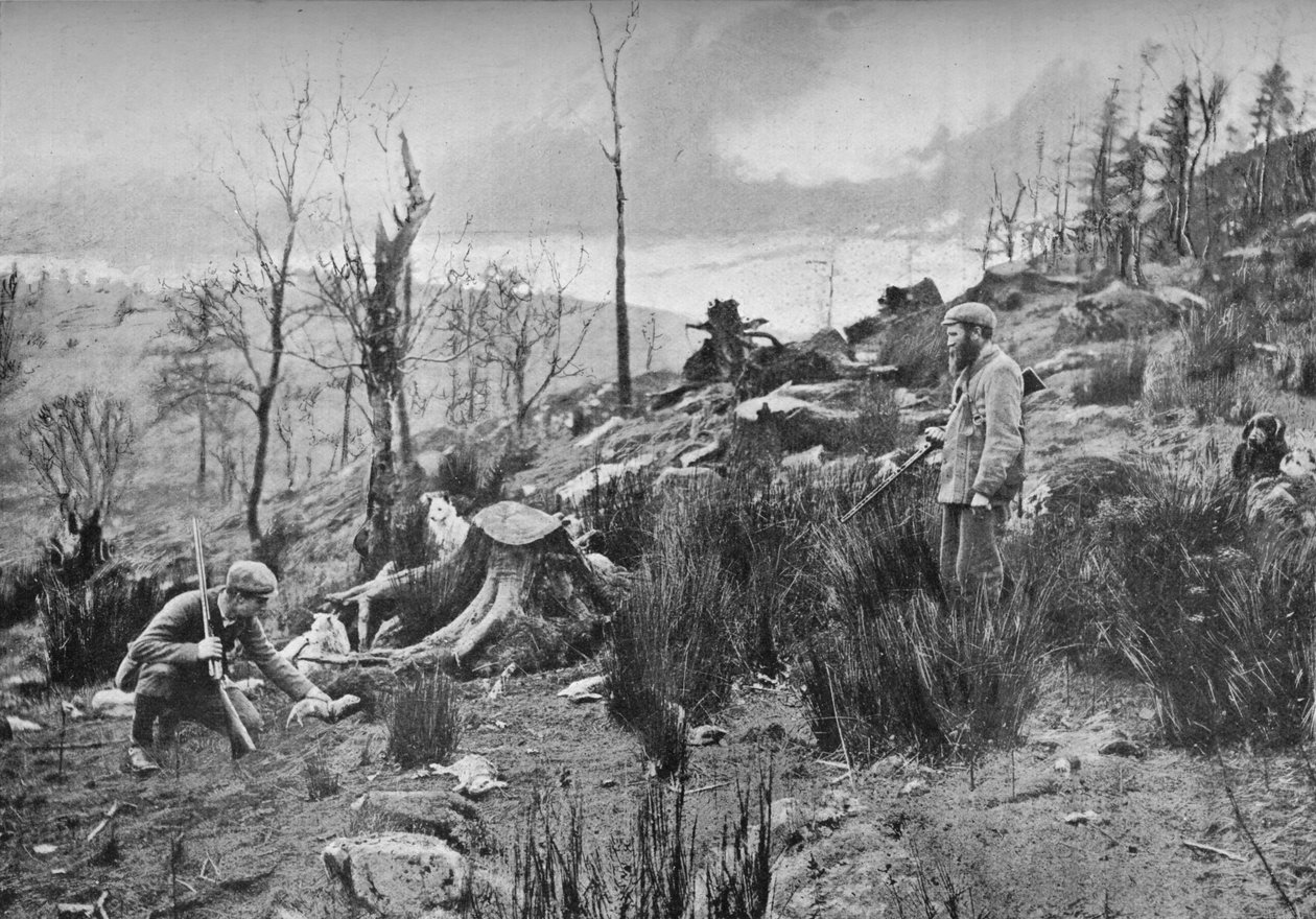 Putting in the Ferret, c1900, 1903 av Charles Reid
