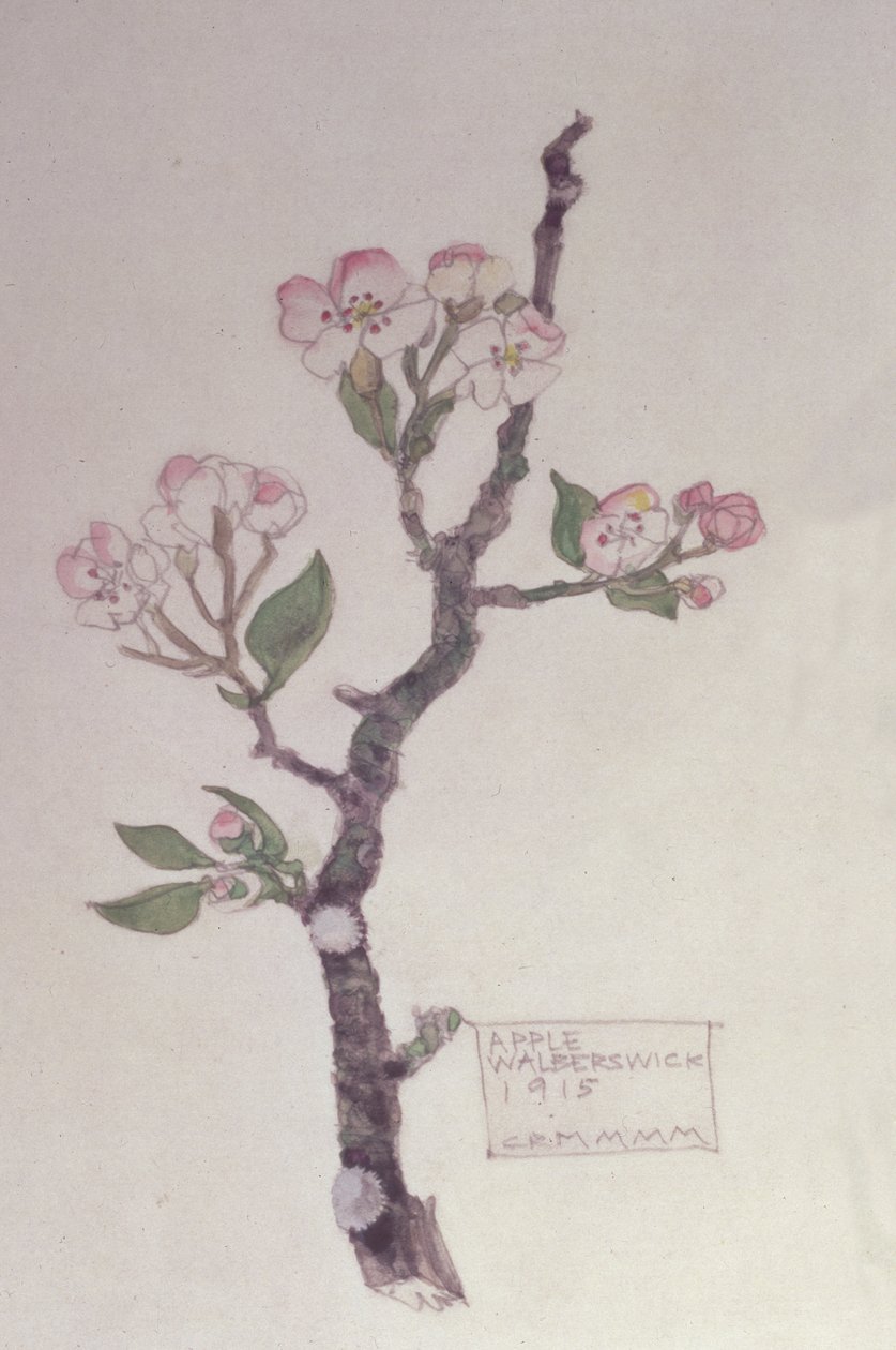 Apple, Walberswick, 1915 (penna och wc) av Charles Rennie Mackintosh