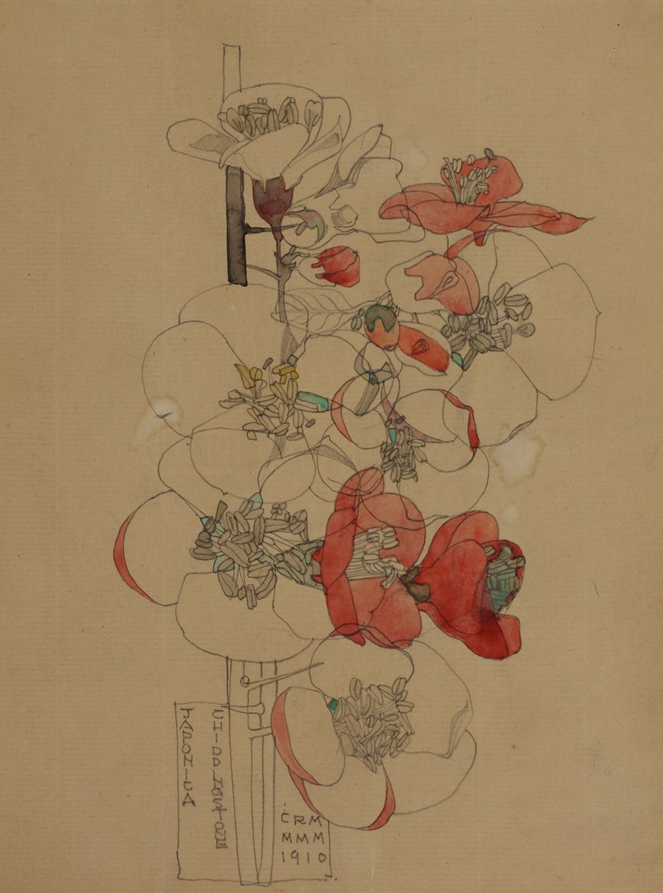 Japonica av Charles Rennie Mackintosh