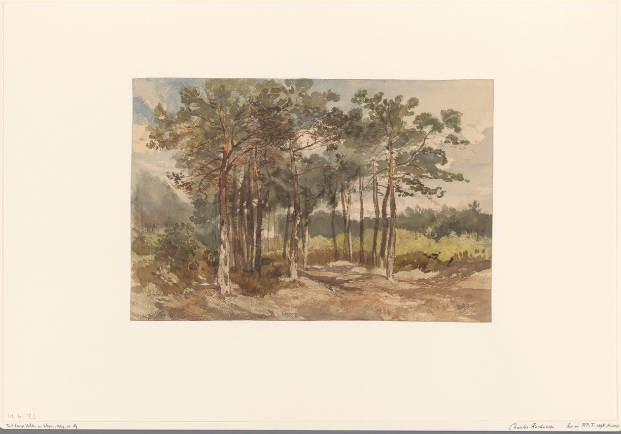 Grupp av träd i skogen nära Driebergen av Charles Rochussen