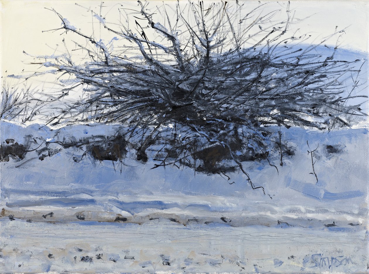 Hawthorn, 2011 (olja på duk) av Charles Simpson