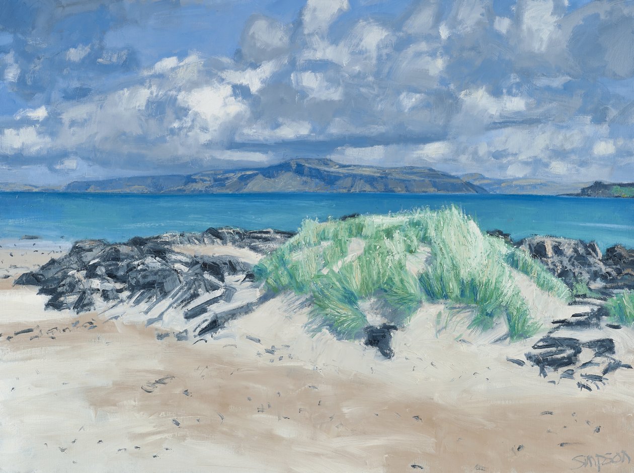 Rocks  Grasses, Iona, 2013 (olja på duk) av Charles Simpson