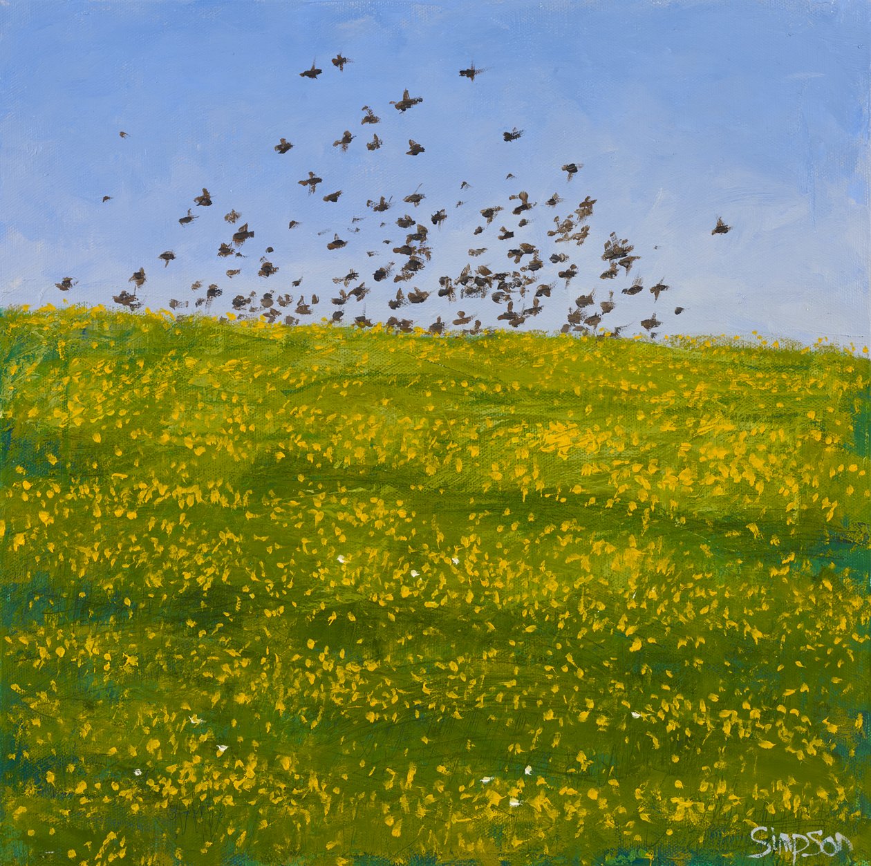 Starlings  Buttercups, Iona, 2015 (olja på duk) av Charles Simpson