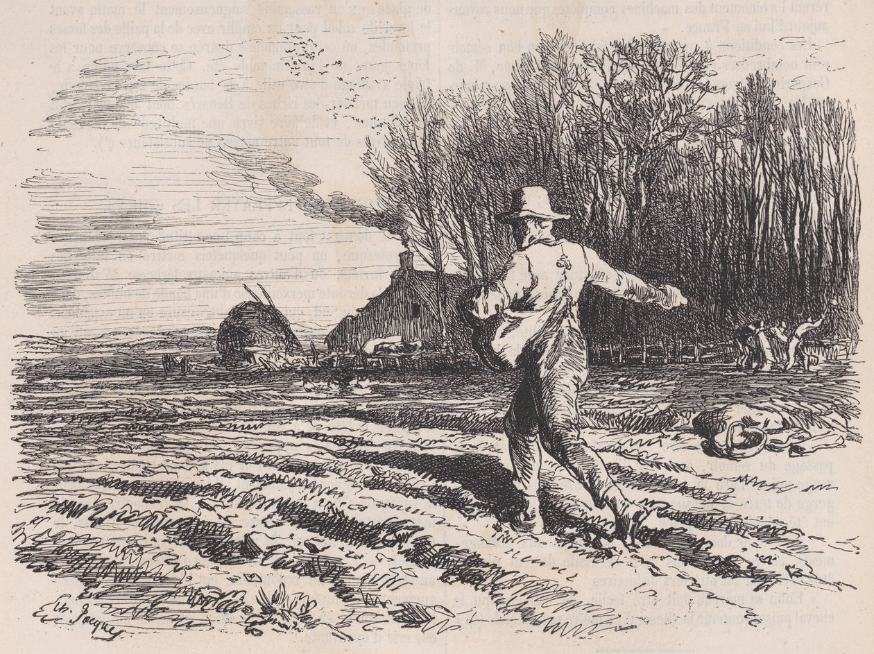 Spridningsfrö, från Le Magasin Pittoresque, maj 1857. av Charles Tamisier