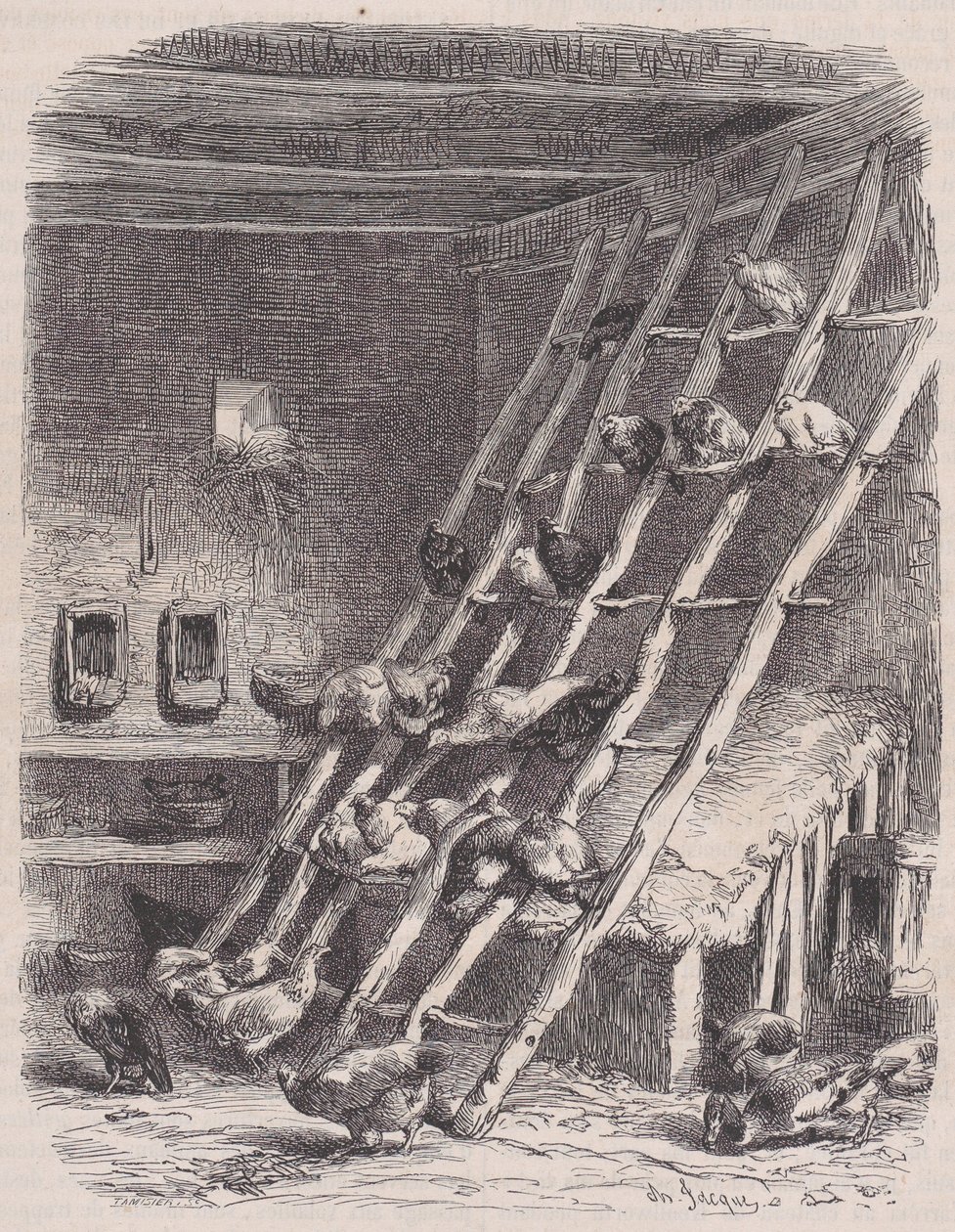 Besök på en gård - The Roost, från Le Magasin Pittoresque, ca. 1852. av Charles Tamisier