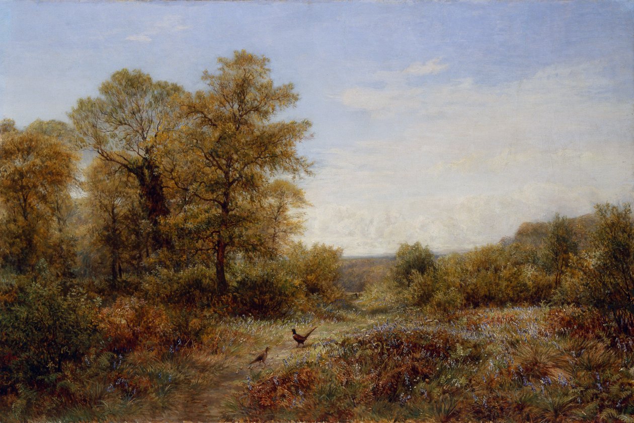  av Charles Thomas Burt