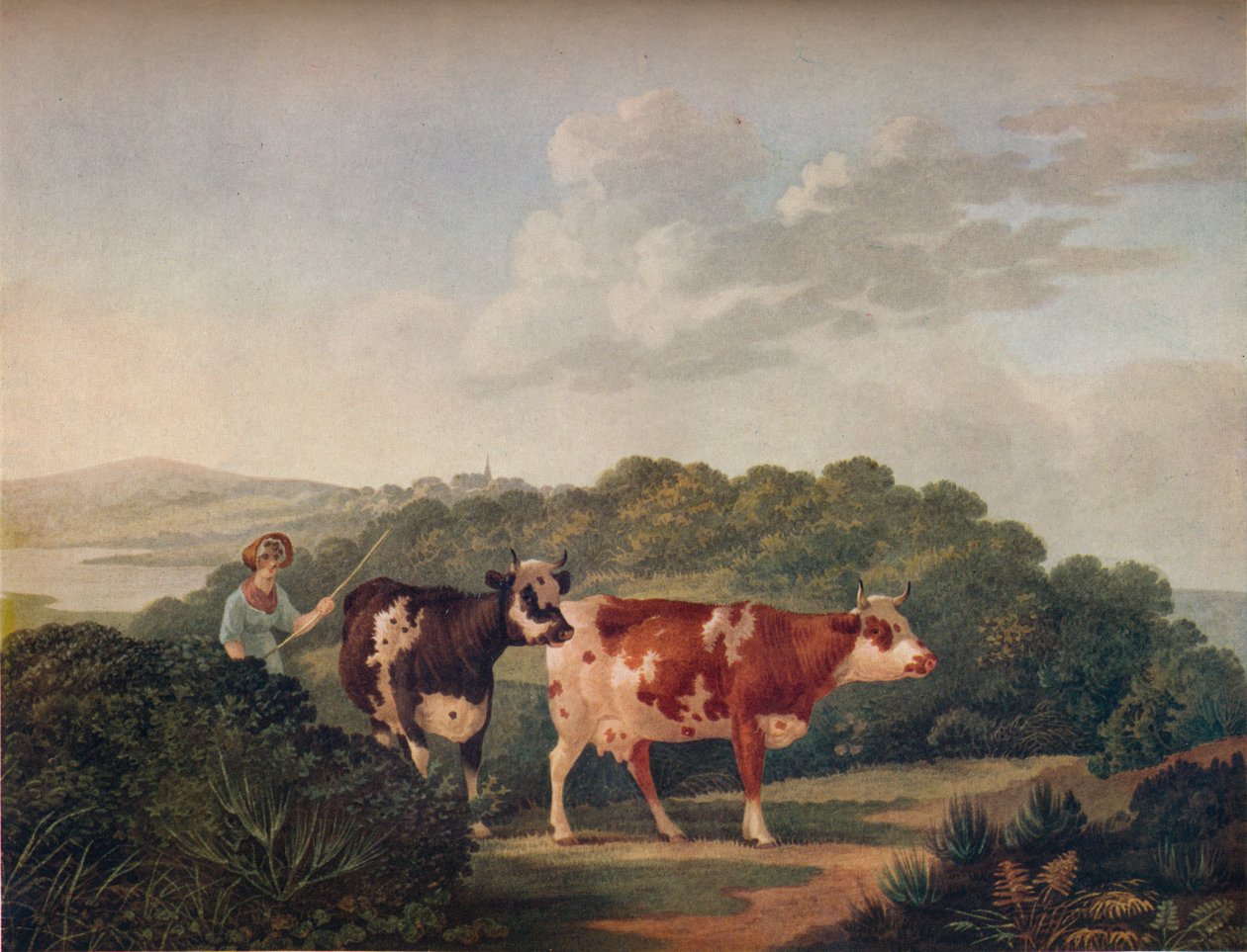 English Landscape, with Shorthorned Cattle, sent 1700-tidigt 1800-tal, 1930. av Charles Towne