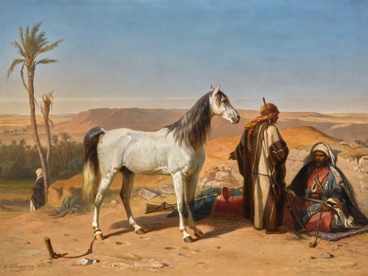 En arab i öknen av Charles Tschaggeny