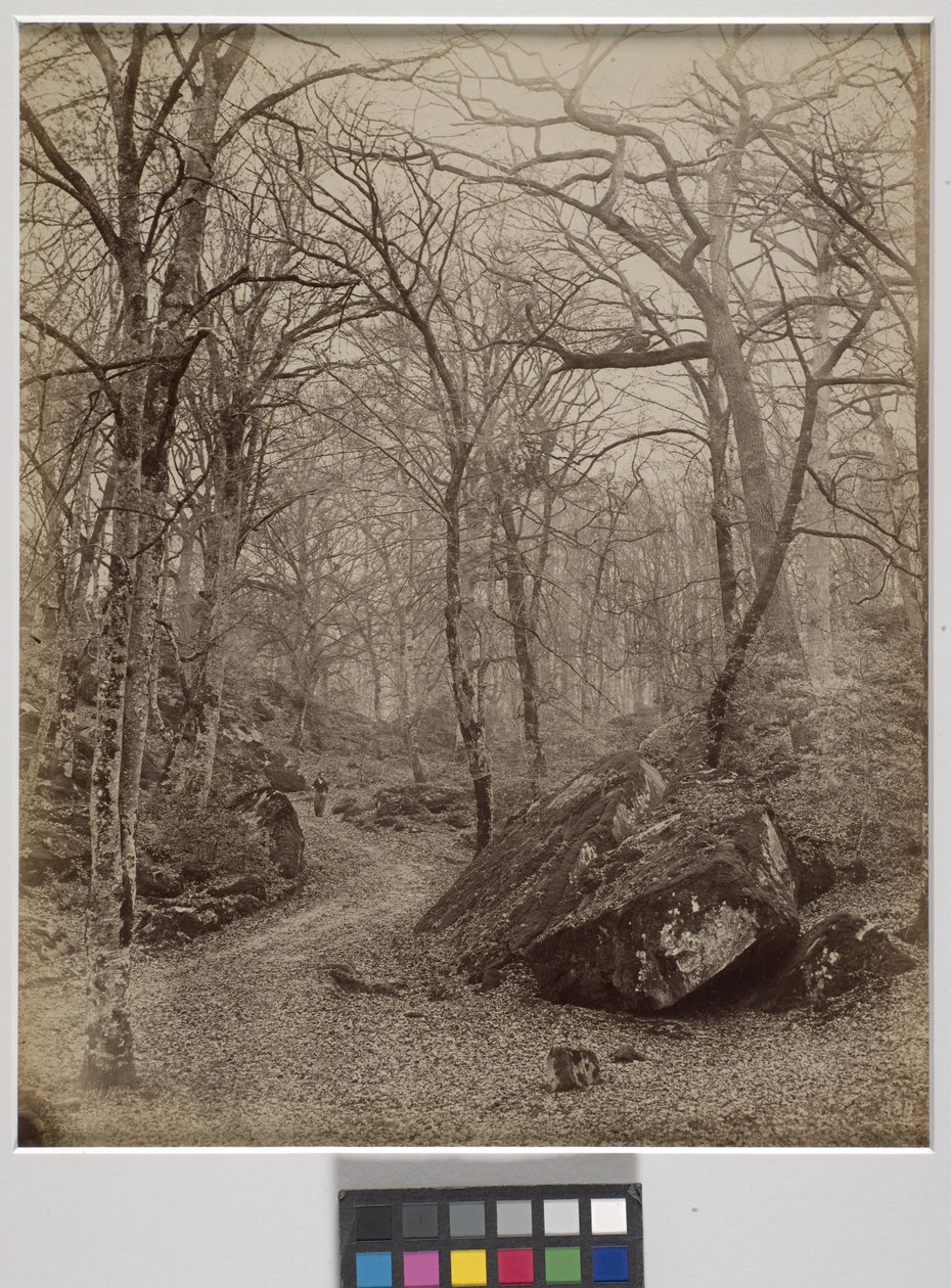 Fontainebleau, ca 1870 (albumintryck) av Charles Victor Famin