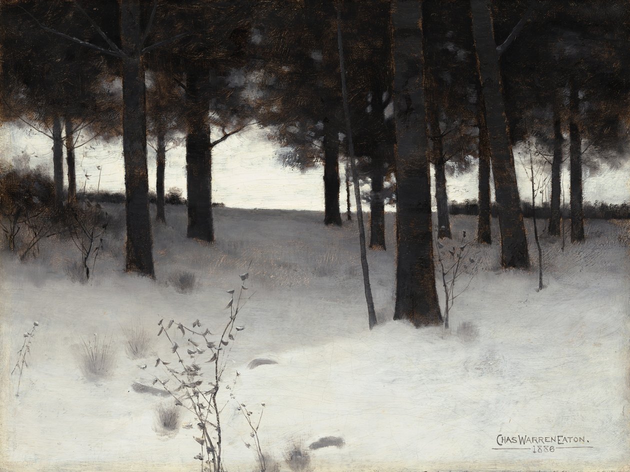 Skogen på vintern av Charles Warren Eaton