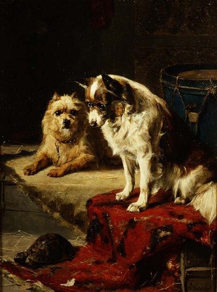 Hundar och en sköldpadda av Charles van den Eycken