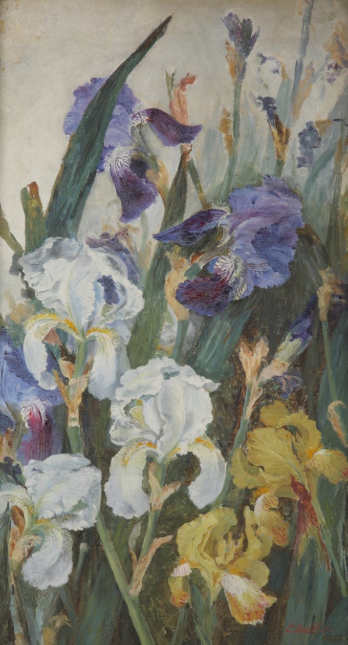Iris, 1882 av Charlotte Hodder