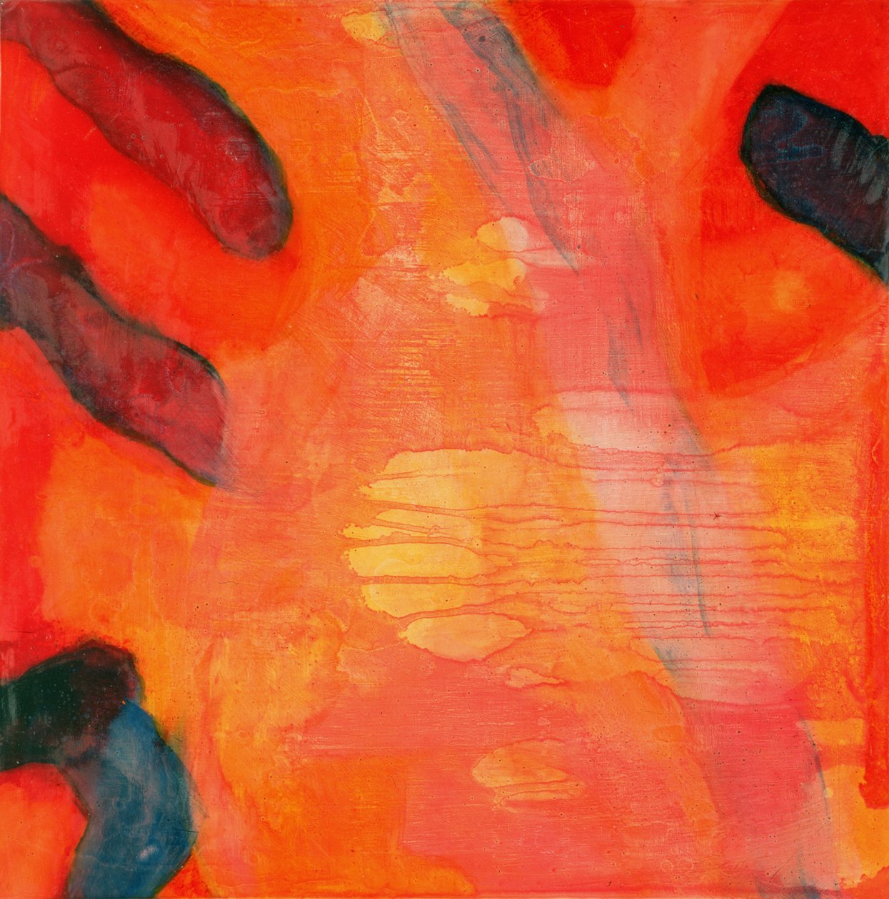 Clown Fish II, 1997 (olja och glasyr på gessobräda) av Charlotte Johnstone
