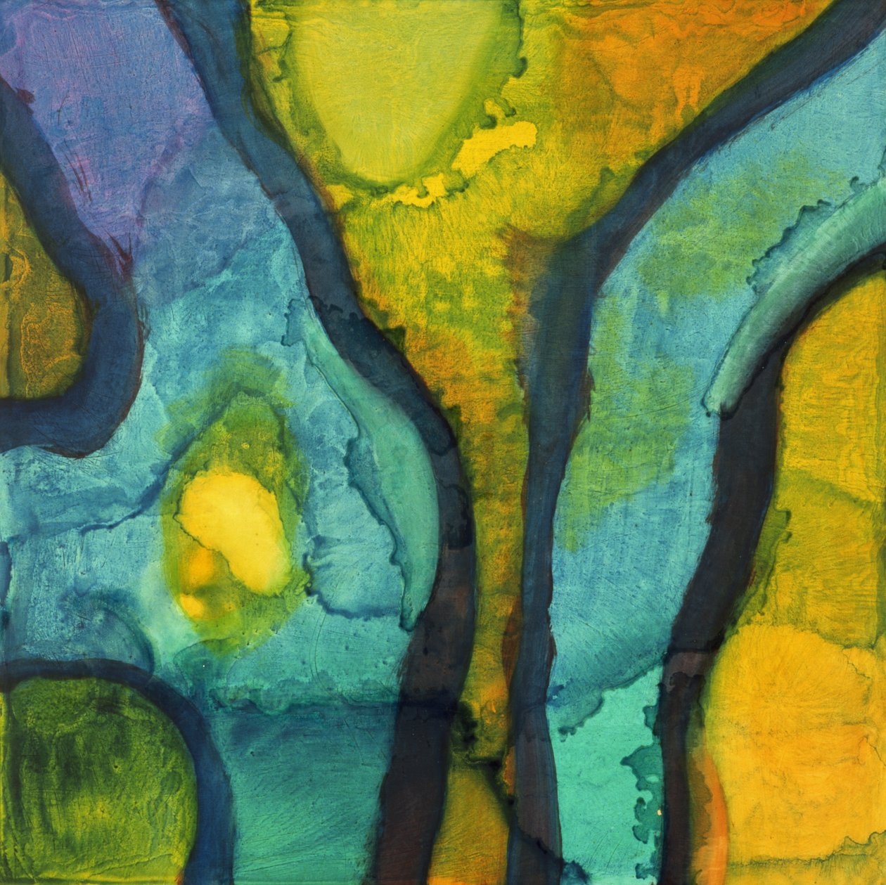 Goby, 1997 (olja och glasyr på gessobräda) av Charlotte Johnstone