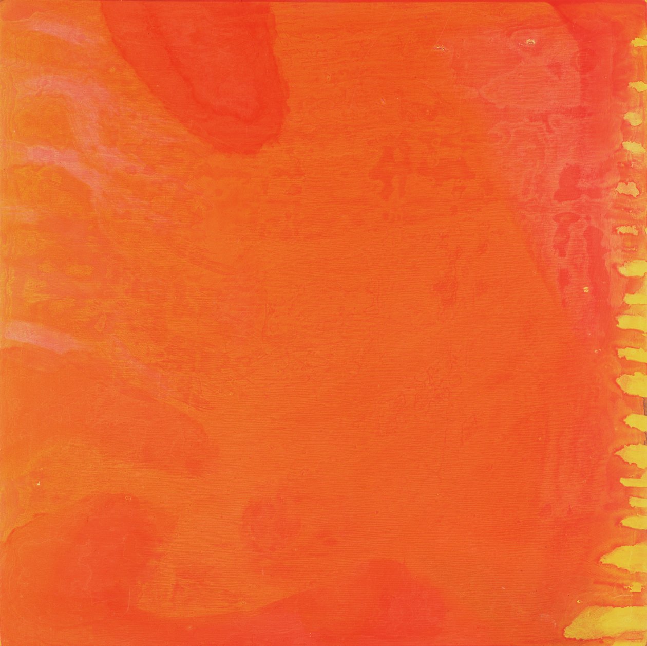 Rabbit Orange, 1997 (olja och glasyr på gessobräda) av Charlotte Johnstone