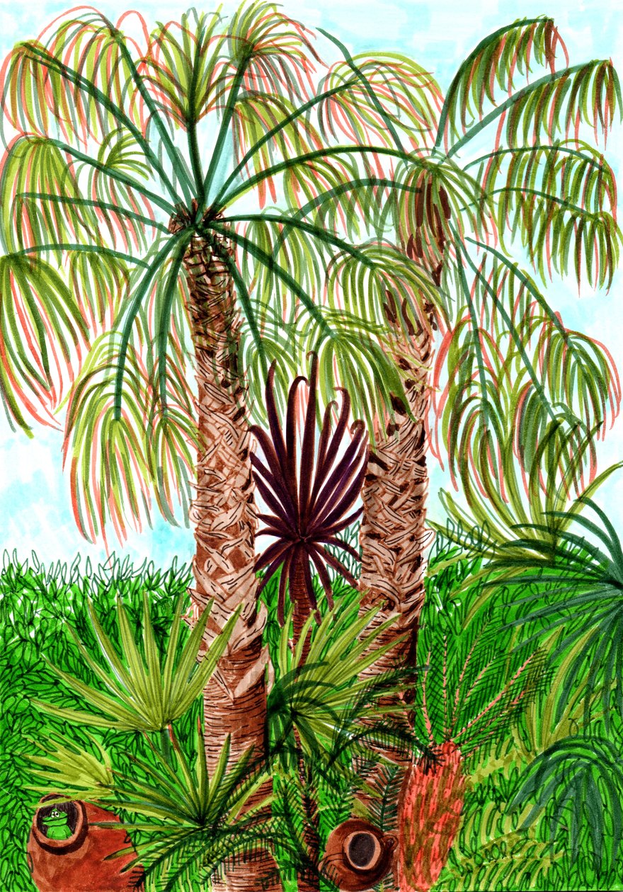 Barcelona Palms, 2017 (penselpennor) av Charlotte Orr