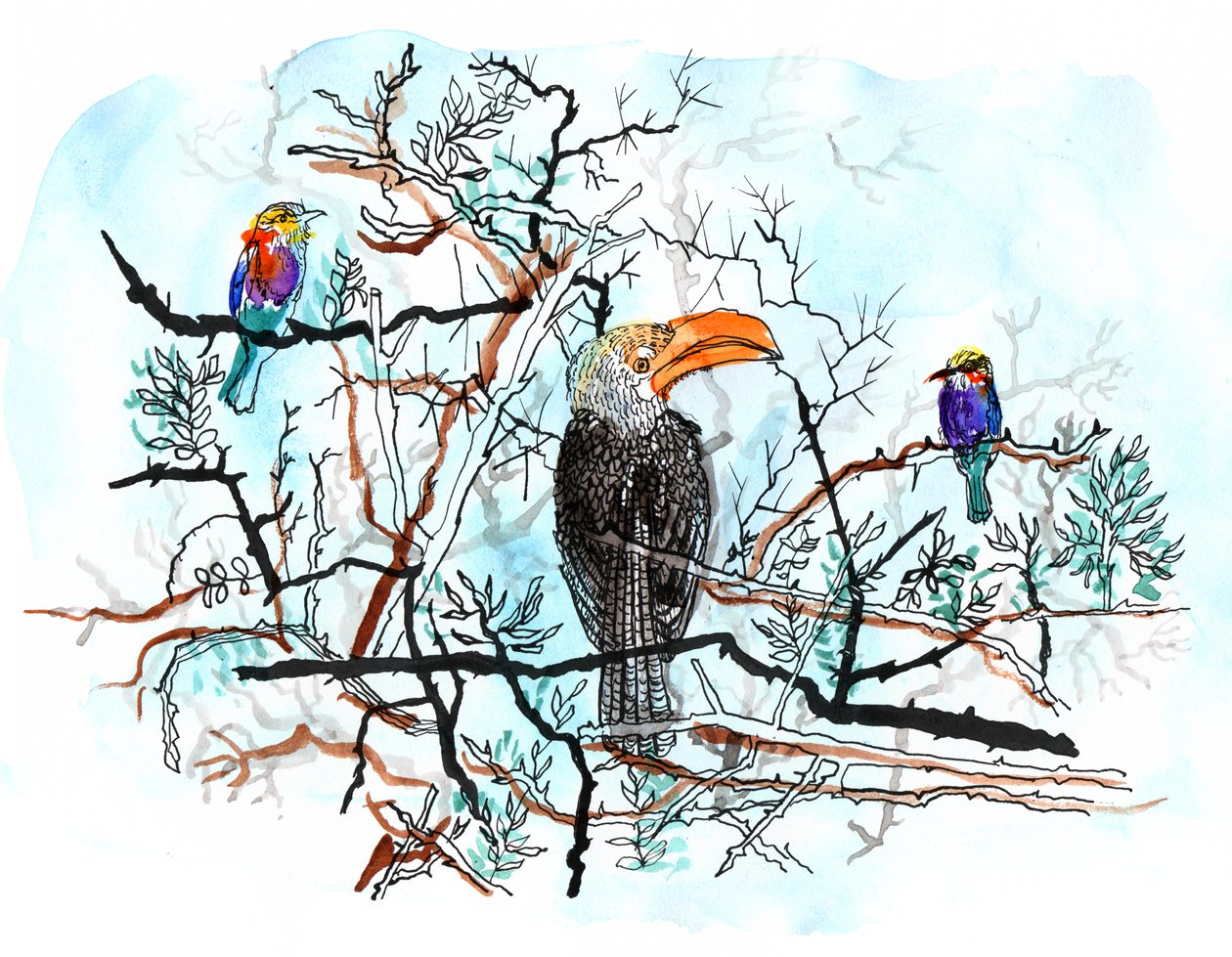 Bird in Tree, 2018 (penna, bläck och akvarell) av Charlotte Orr
