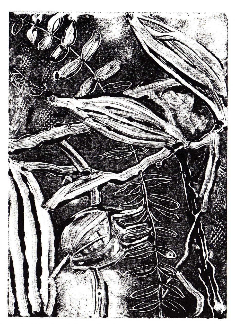 Inky Plants, 2019 (monoprint) av Charlotte Orr