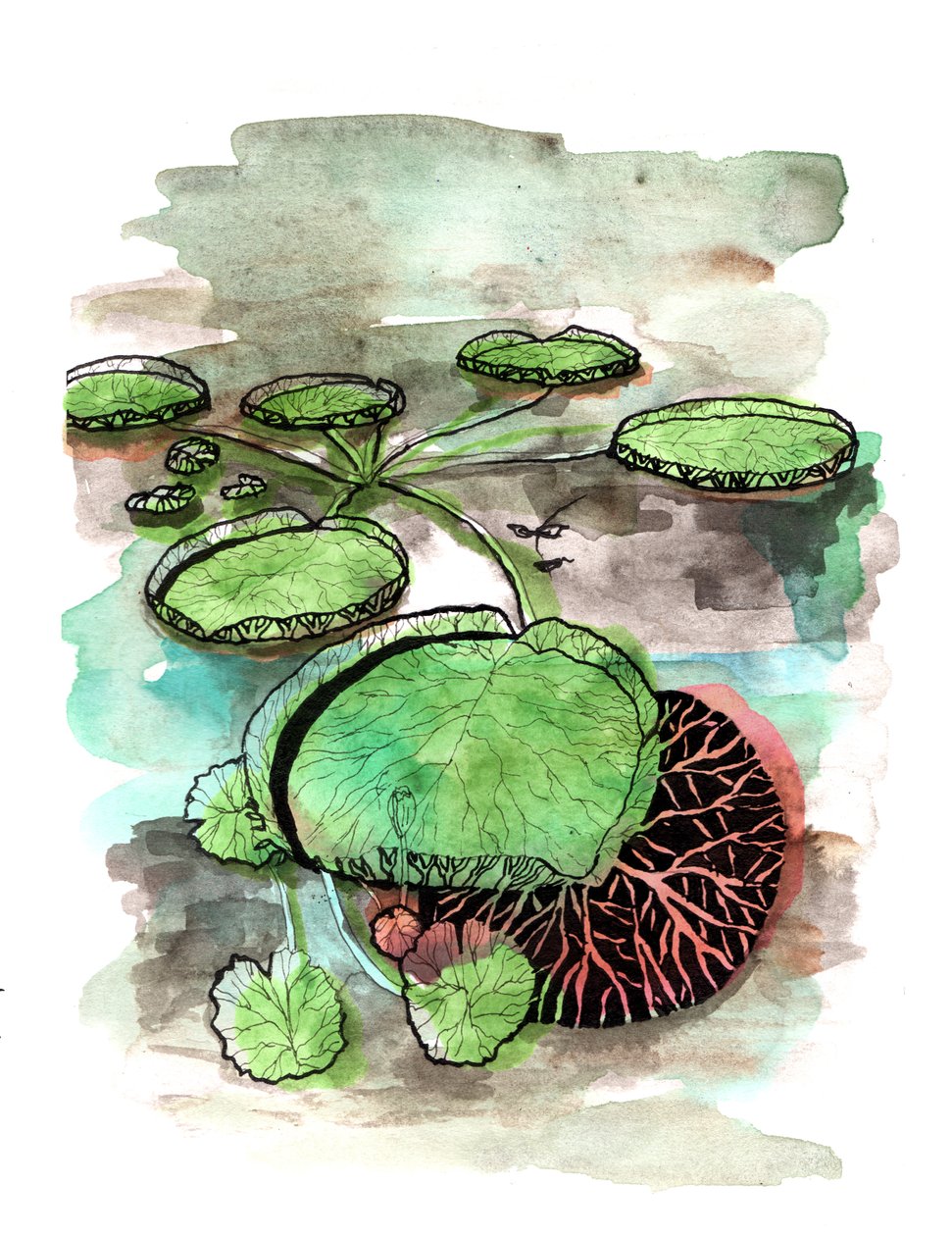 Lilypads, 2020 av Charlotte Orr
