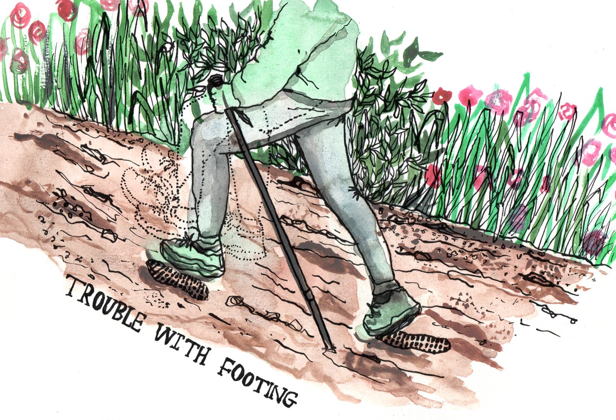 Parkinsons Illustrations, 2019 (bläck och akvarell) av Charlotte Orr