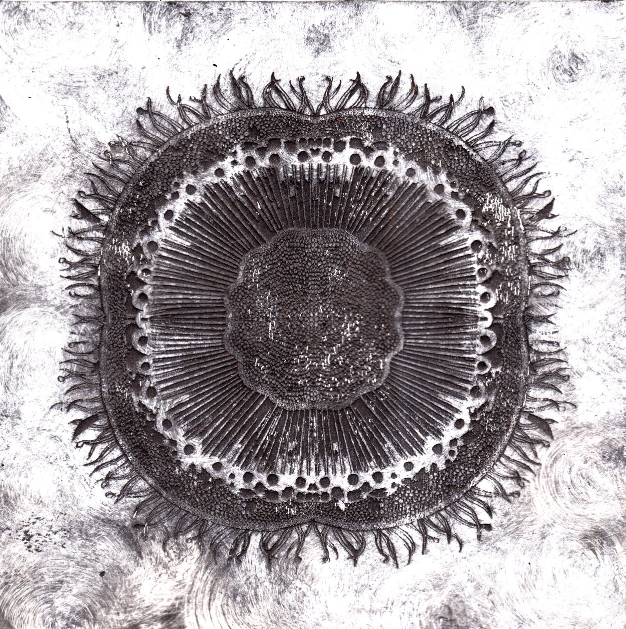 Plant Cells, 2019 (torrpunktsetsning) av Charlotte Orr