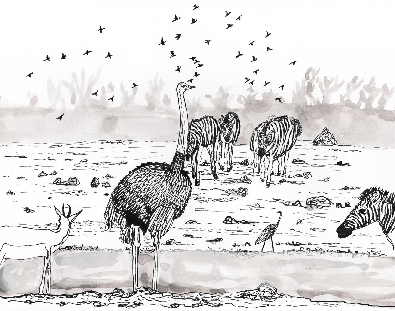 Safari 2, 2018 (bläck och akvarell) av Charlotte Orr