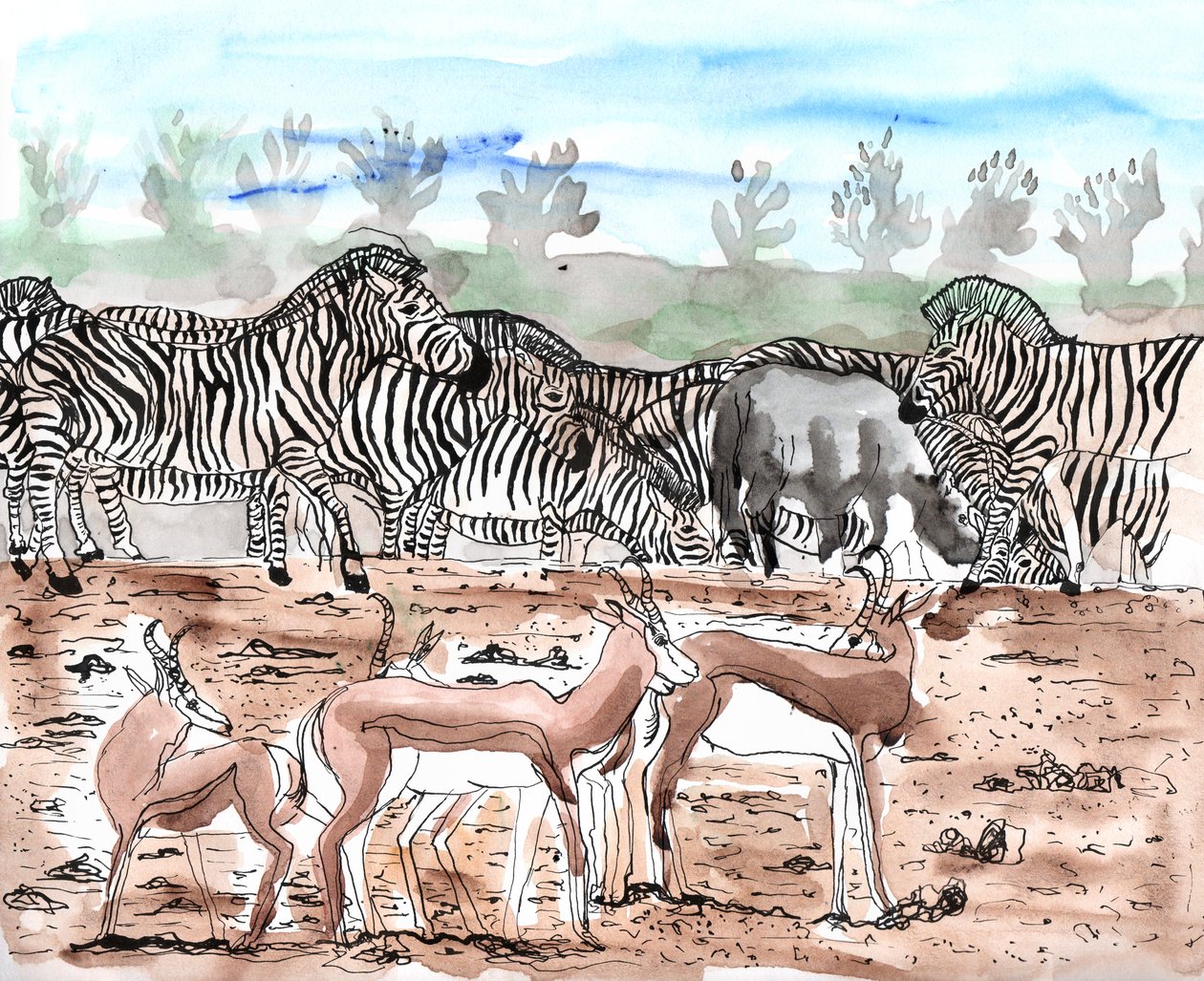 Safari 3, 2018 (bläck och akvarell) av Charlotte Orr