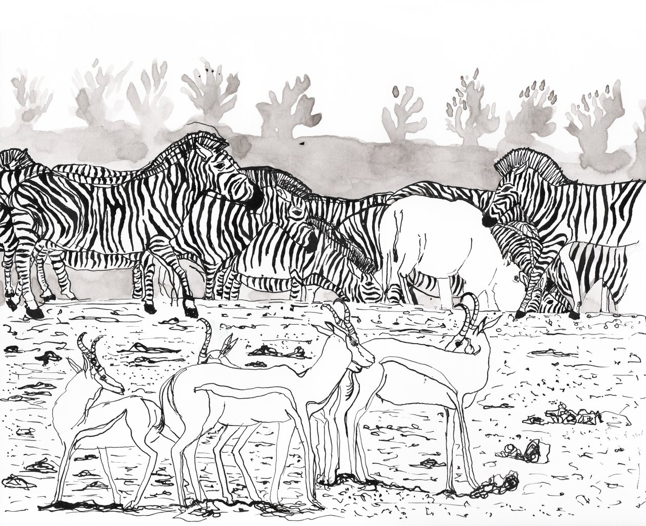 Safari 3, 2018 (bläck och akvarell) av Charlotte Orr