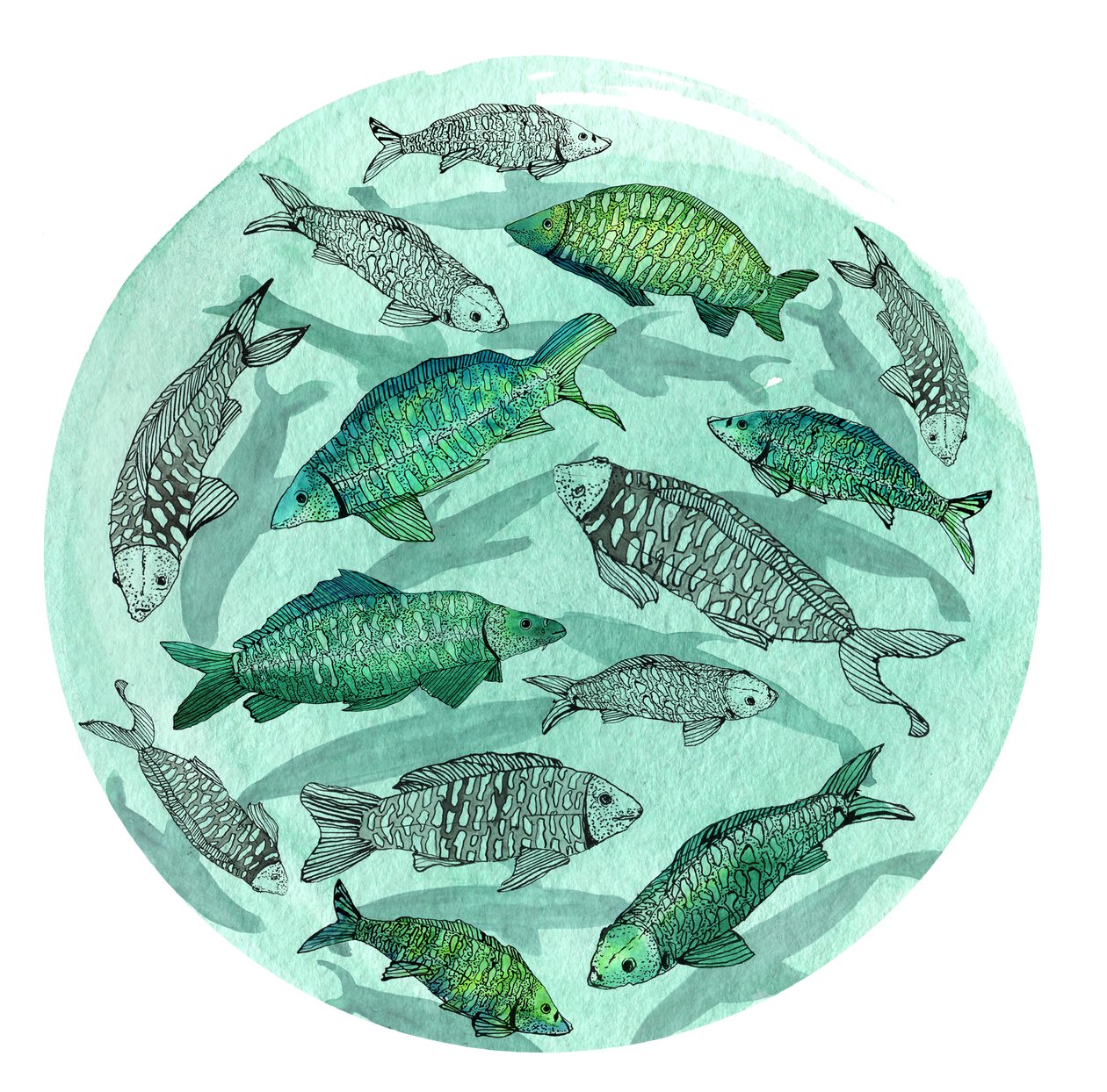 Small Fish Big Pond, 2018 (penna och bläck, akvarell och digital) av Charlotte Orr