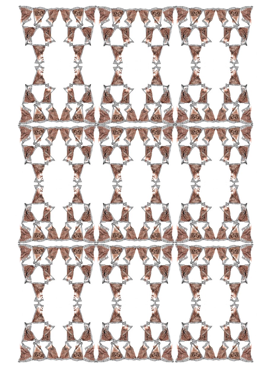 Teförpackningsdesign, 2018 (bläck och akvarell) av Charlotte Orr