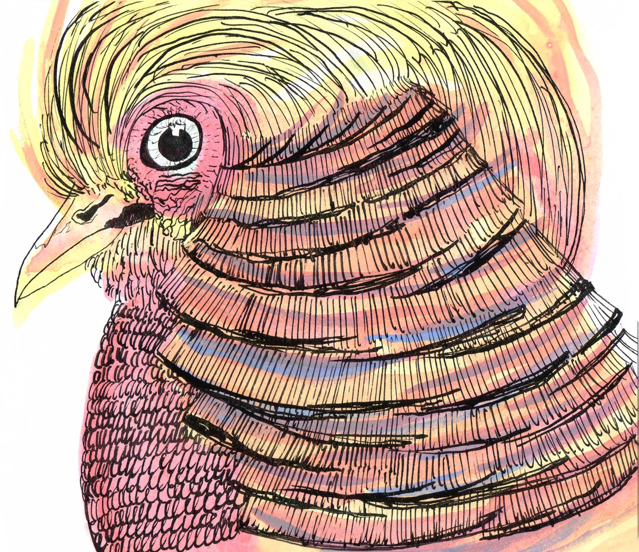 Tropical Bird, 2018 (penna, bläck och akvarell) av Charlotte Orr