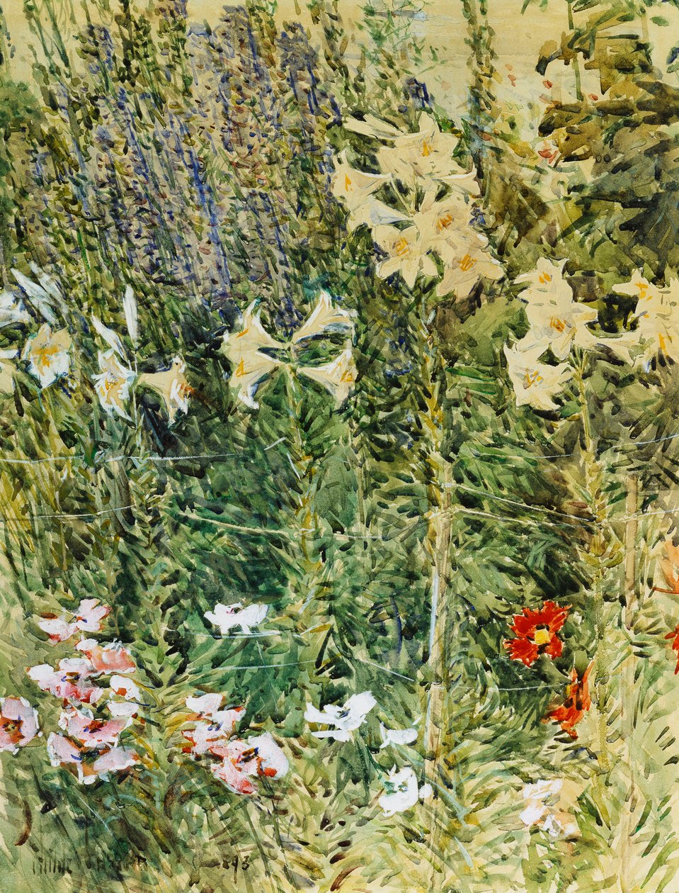 Larkspurs och Lillies av Childe Frederick Hassam