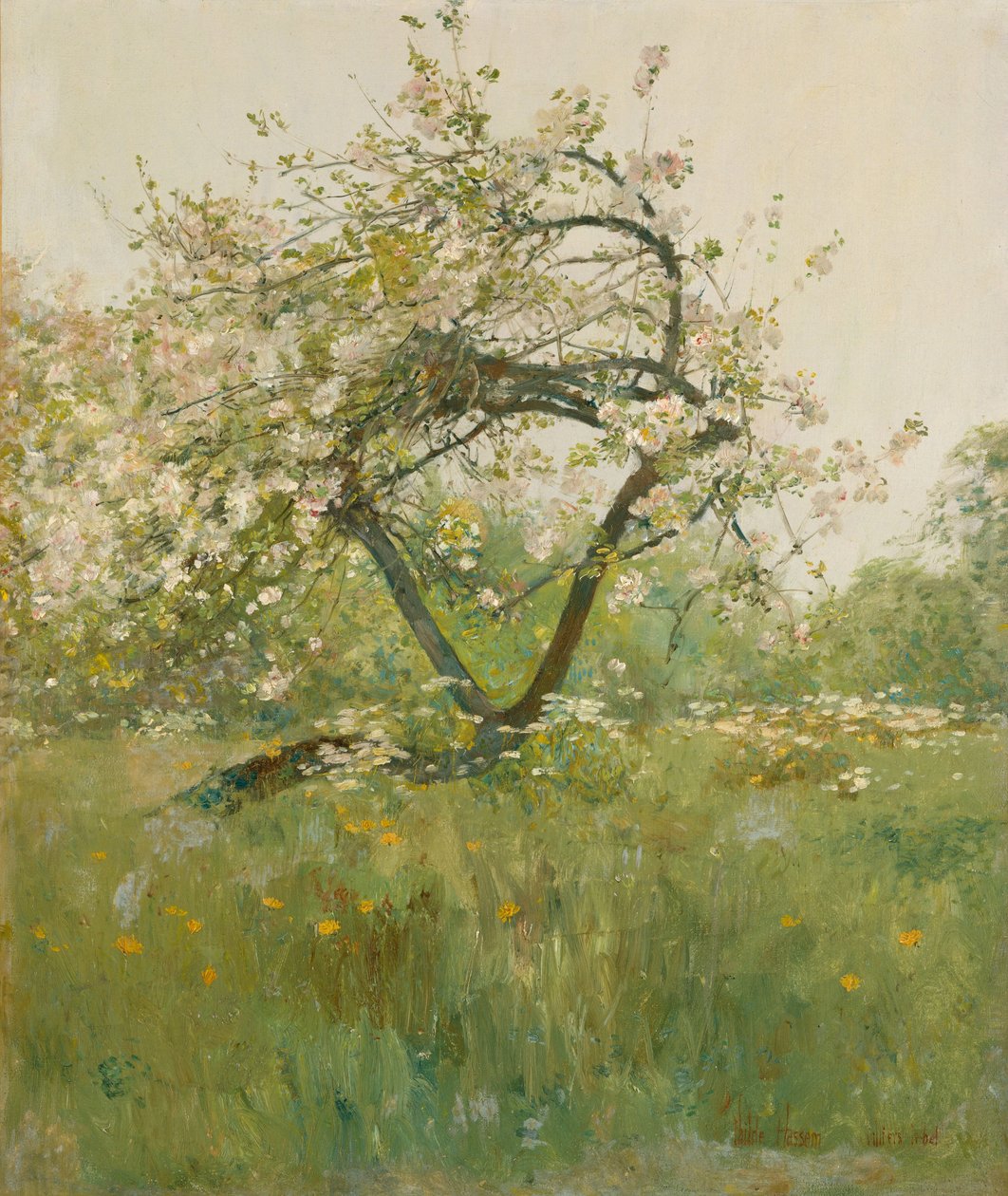 Peach Blossoms, Villiers-le-Bel av Childe Frederick Hassam