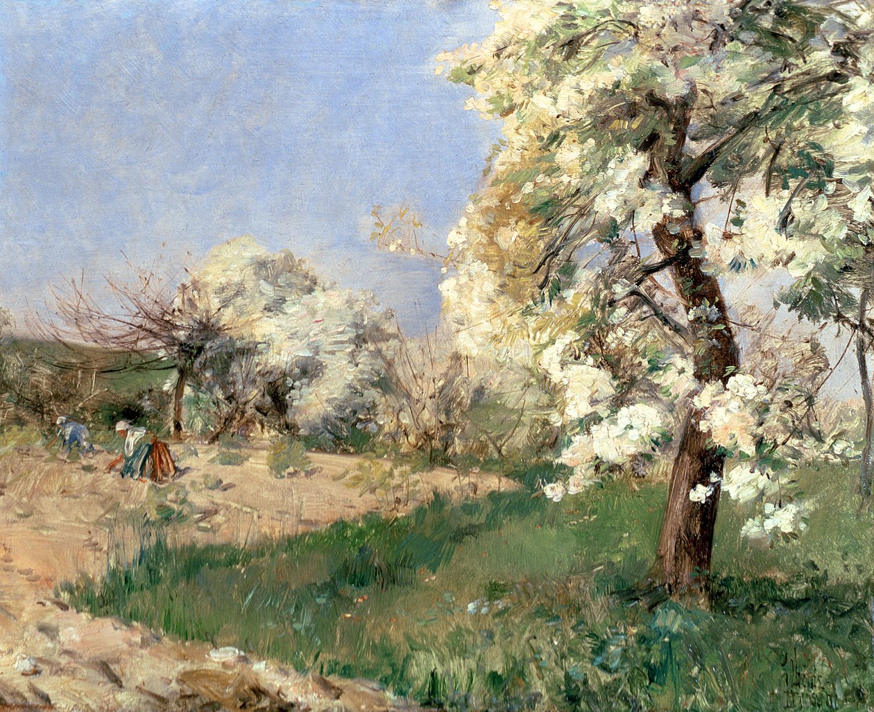Päronblommor, Villiers-de-Bel (olja på panel) av Childe Frederick Hassam