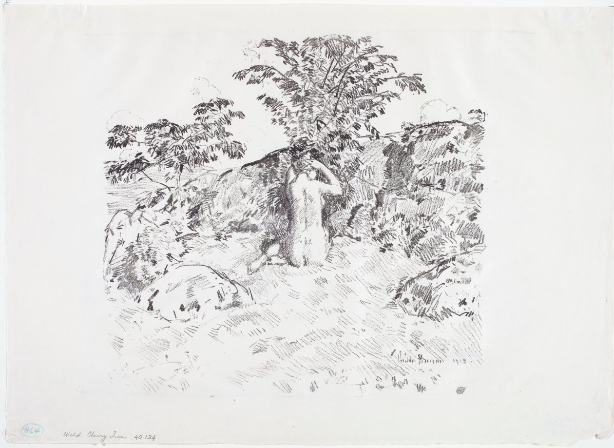 Vilda körsbärsträd av Childe Frederick Hassam