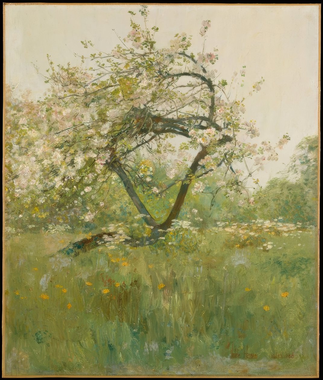 Persikablommor — Villiers-le-Bel av Childe Hassam