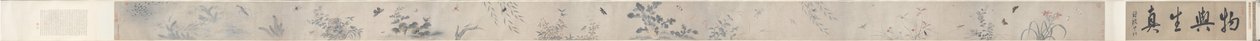 Insekter och blommor av China, Qing dynasty