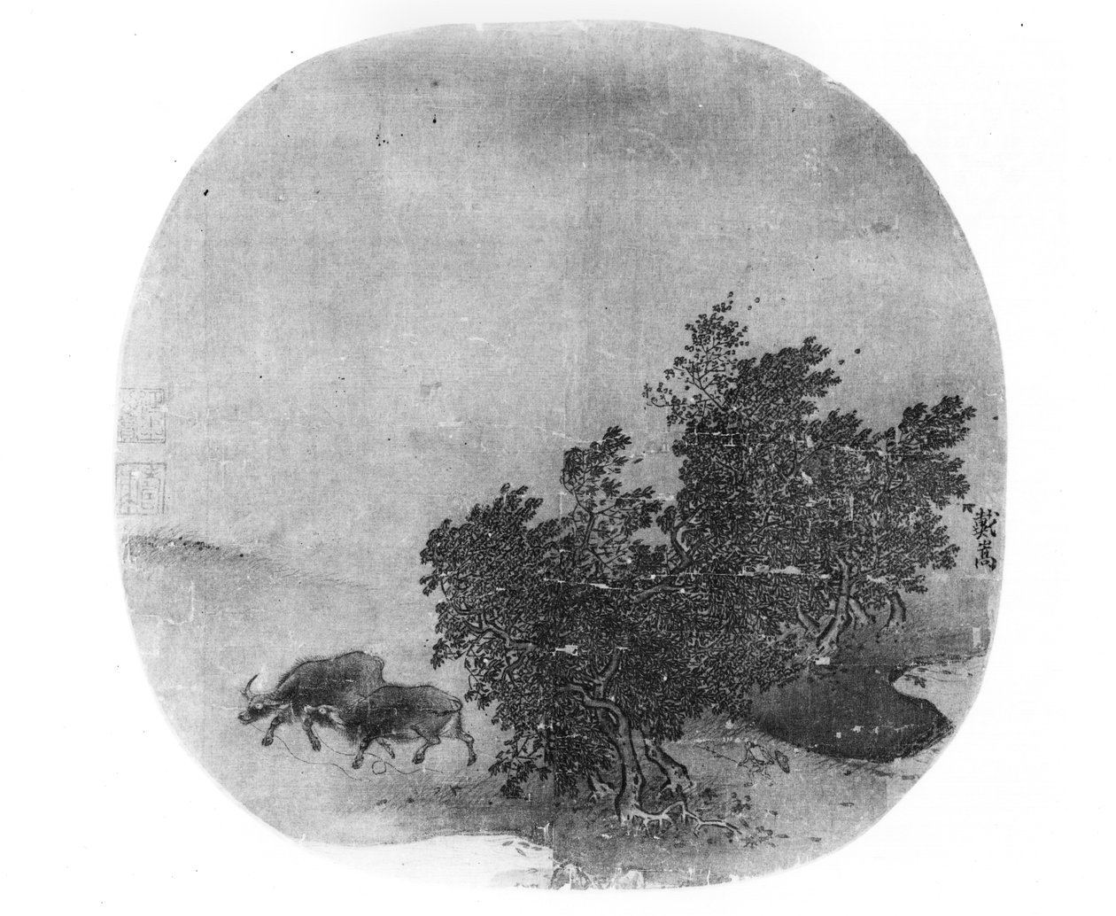 Landskap med vattenbuffel, Songdynastin (960-1279) (sidenmålning) av Chinese School