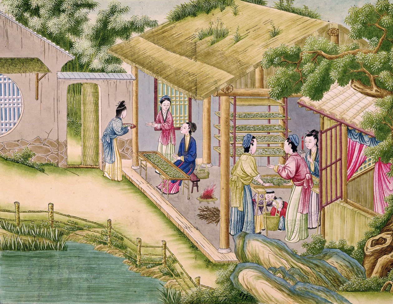 Ms 202 fol.2 Lär dig om silkesmaskar, från en bok om silkesindustrin av Chinese School