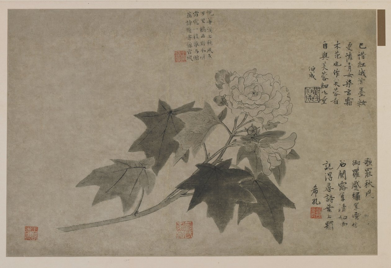 En gren av träpion, möjligen Qing-dynastin (bläck på papper) av Chinese School