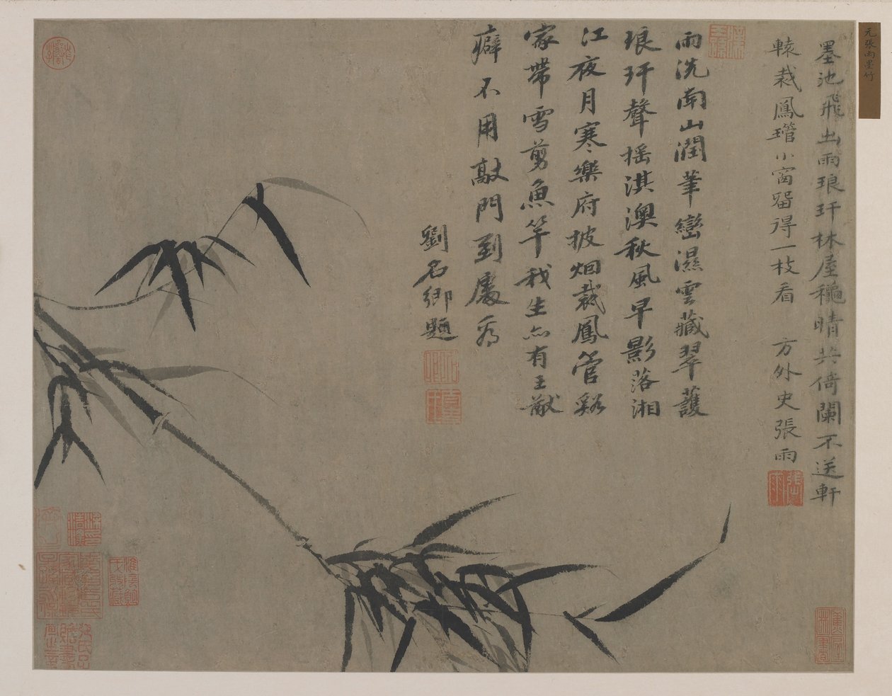 En spray av bambu, möjligen Qing-dynastin (bläck på papper) av Chinese School