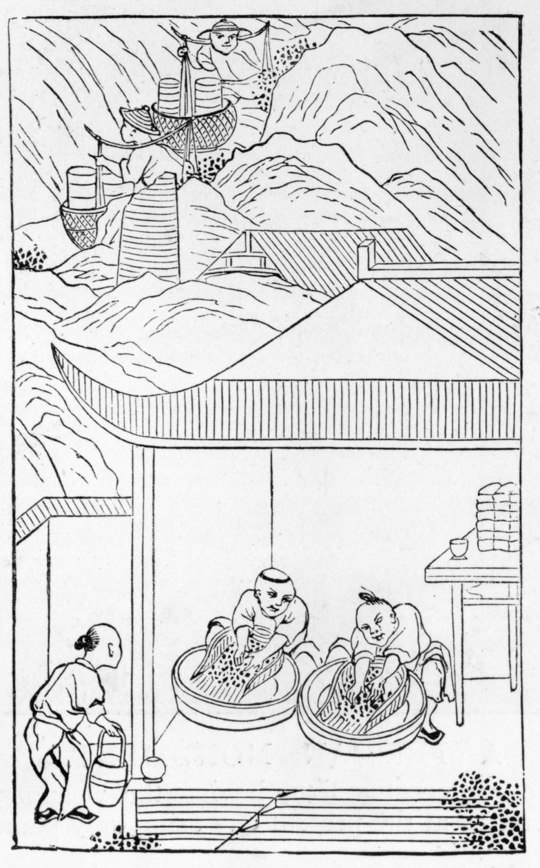 Samla och tvätta den blå emaljen för färgning, från en serie illustrationer om tillverkning av porslin (se 384116 & 384117 för hela serien) av Chinese School