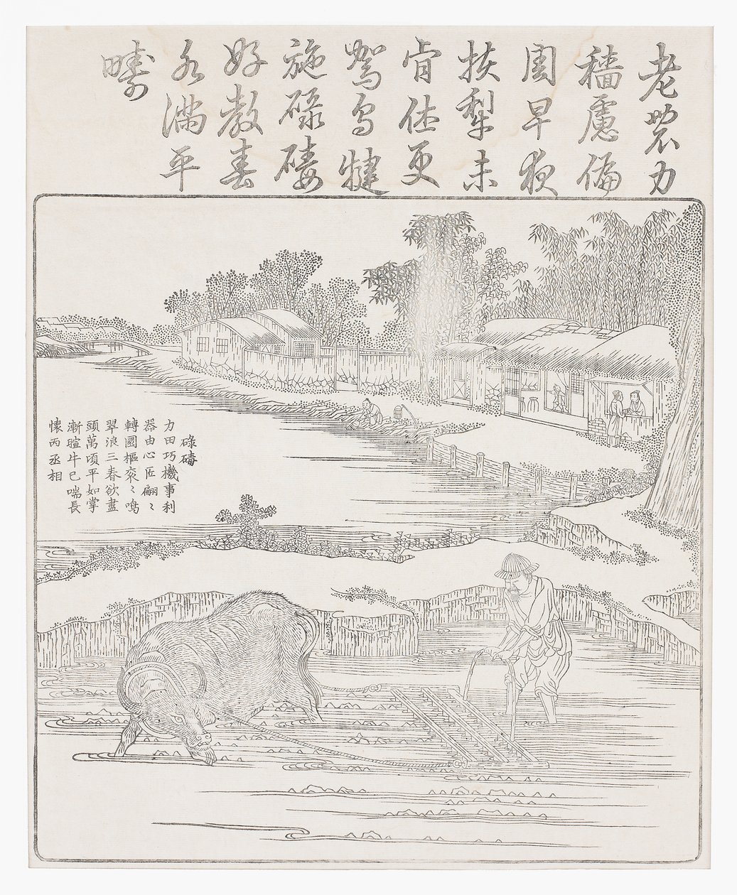 Harva risfältet, 1700-talet av Chinese School