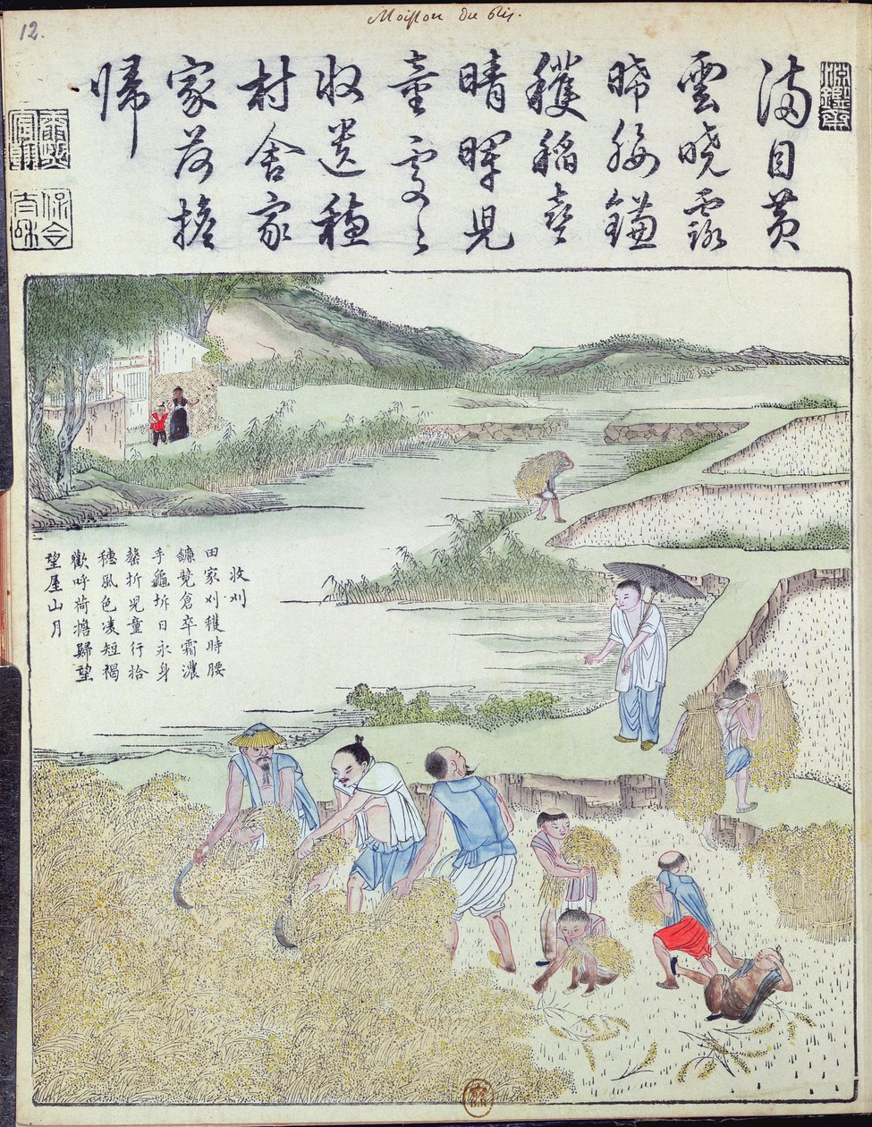 Harvest, The Rice Culture in China (träblock i färg) av Chinese School