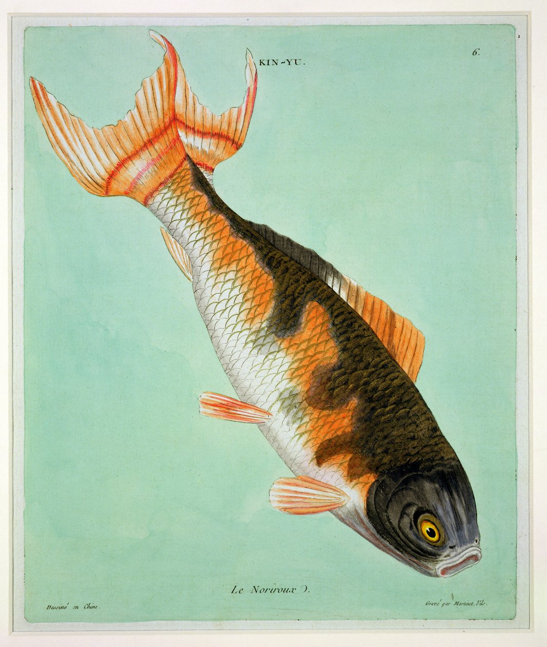 Le Noriroux, graverad av Francois Nicholas Martinet (1731-s.1796) (tryck) av Chinese School