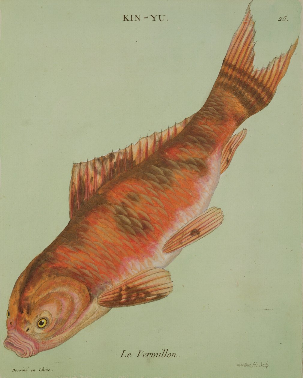 Le Vermilion, graverad av Francois Nicholas Martinet (1731-s.1796) (tryck) av Chinese School