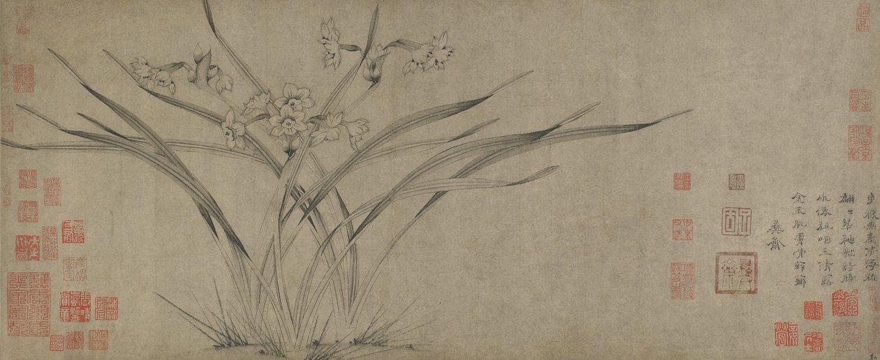 Narcissus, Songdynastin (bläck på papper) av Chinese School