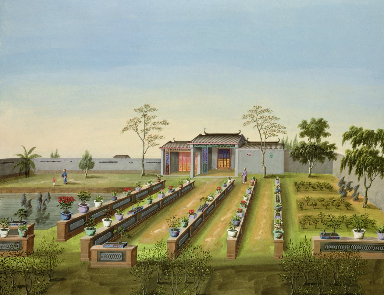 Nursery Garden, c.1820-40 (wc på papper) av Chinese School