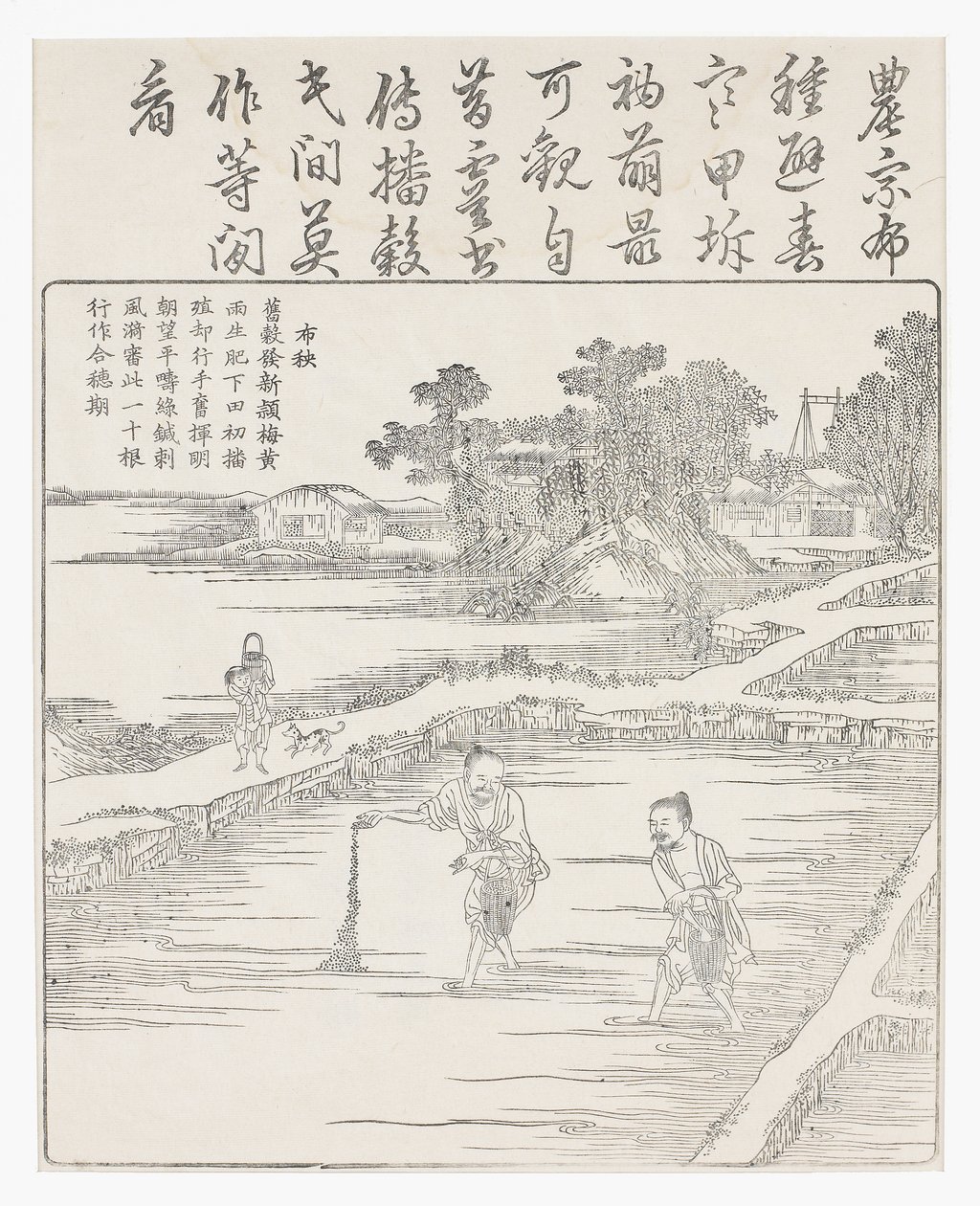Sår riset i en fröbädd., 1700-tal av Chinese School